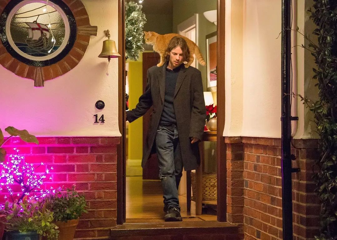 流浪猫鲍勃电影中的心理学关键词,流浪猫鲍勃用英语怎么说