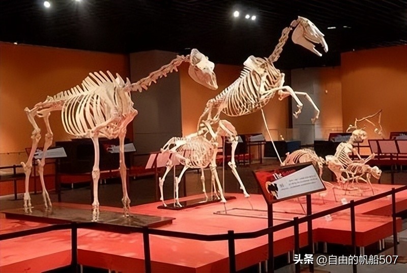 辽宁省大连市沙河口区,辽宁省大连市沙河口区富乐园