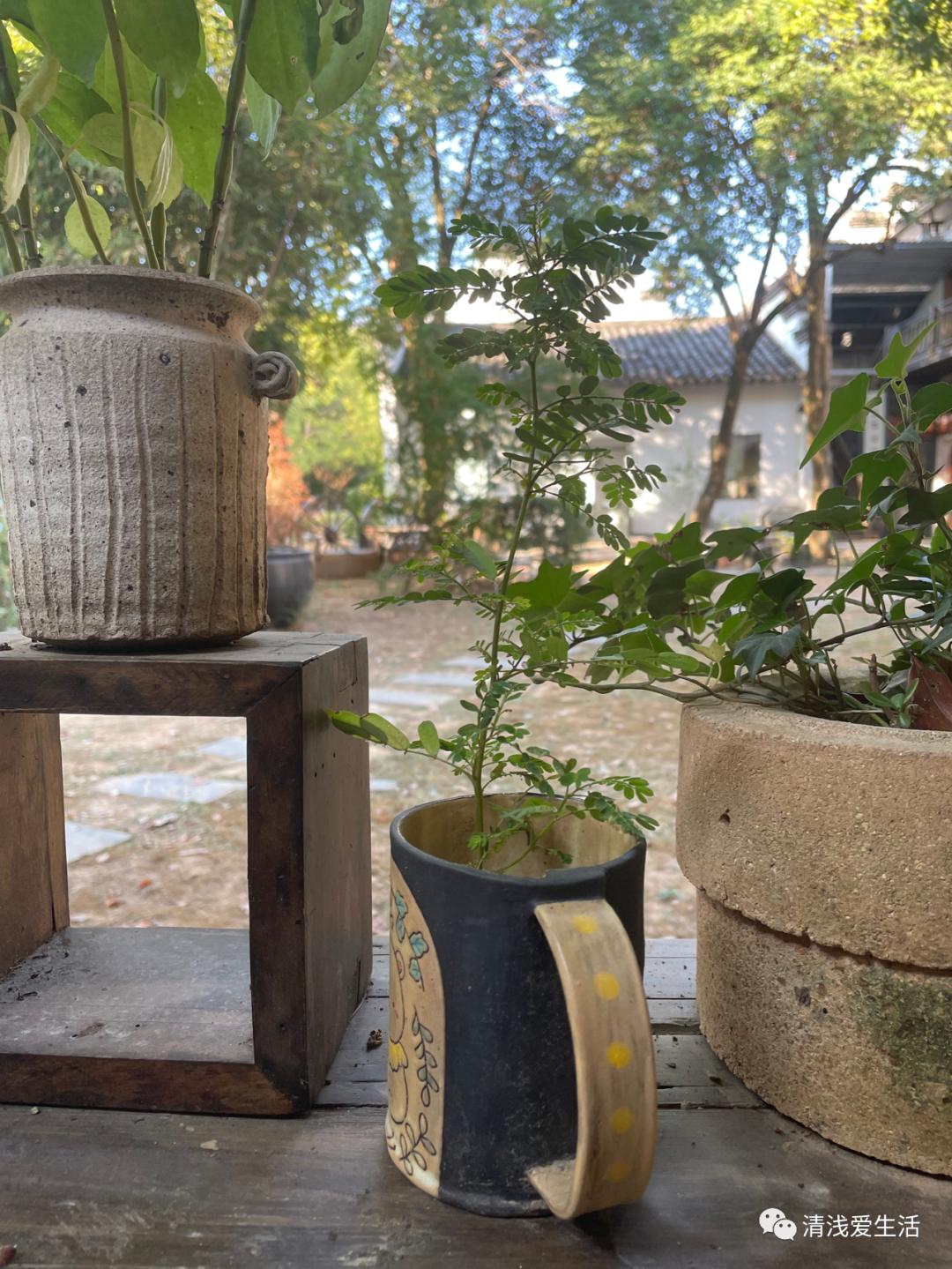 景德镇六大陶瓷市场,聊聊景德镇陶瓷市场