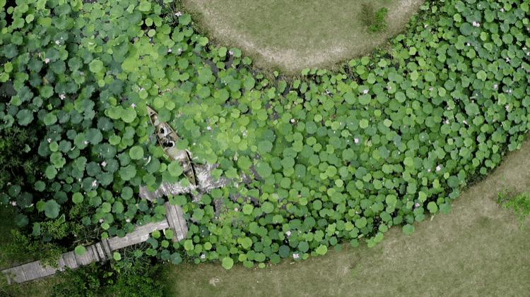 回归乡村的年轻人：自耕自食，无需财务自由