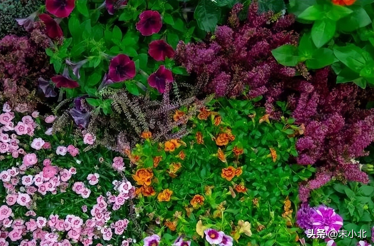 男人哄骗女人时，常说的三句“假话”，你听过几句？