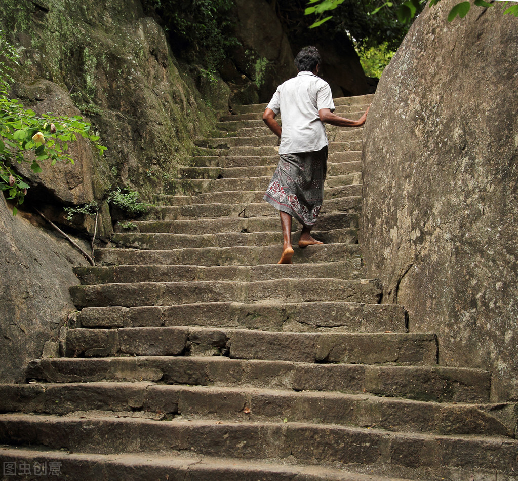 每日冷知识全集,每日冷知识100条