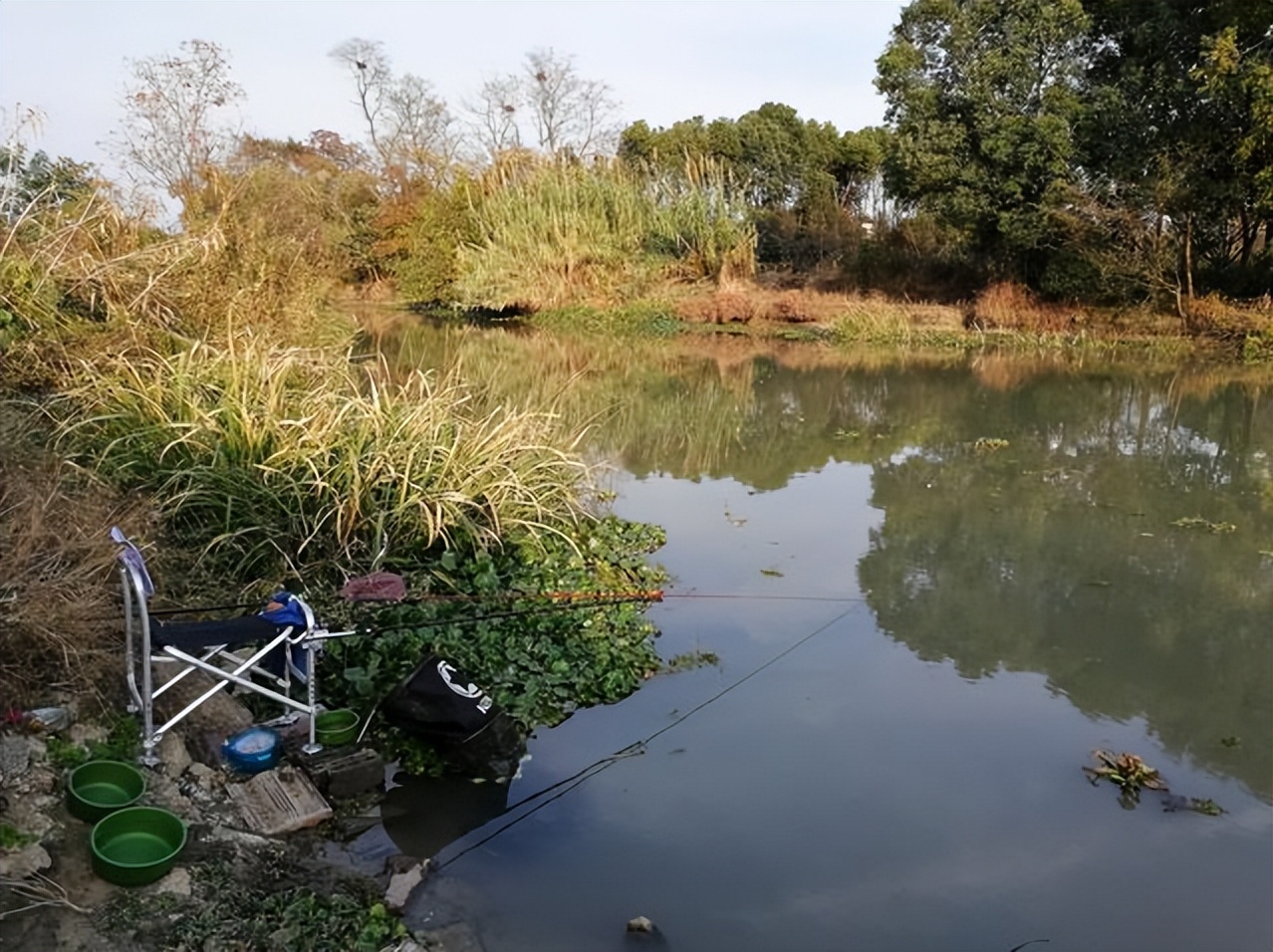 黑坑窝里总是聚不到鱼,黑坑钓起来的鱼怎么处理