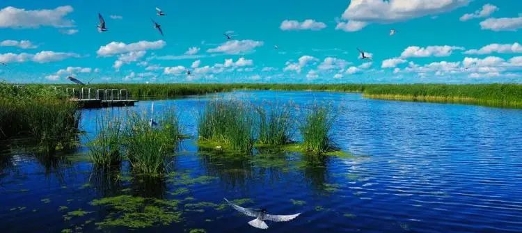 湿地可以开发什么旅游项目,黑龙江旅游必去十大湿地排名