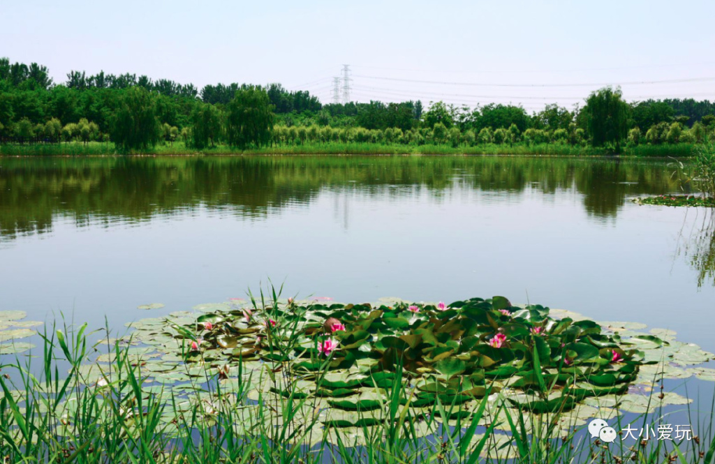 适合三天两夜的自驾亲子旅游胜地 (6条不同的游览路线供游客自由选)