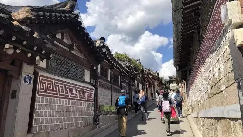 韩国要求日本挂黄牌吗,日本给中国游客挂红牌