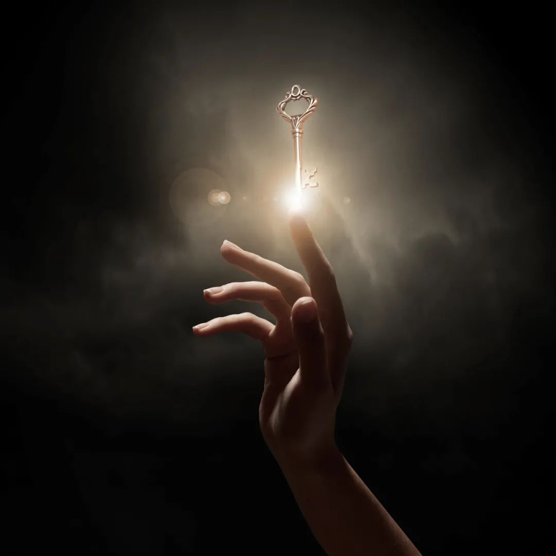 双11性价比最高的5g手机,双11千元机性价比最高的手机