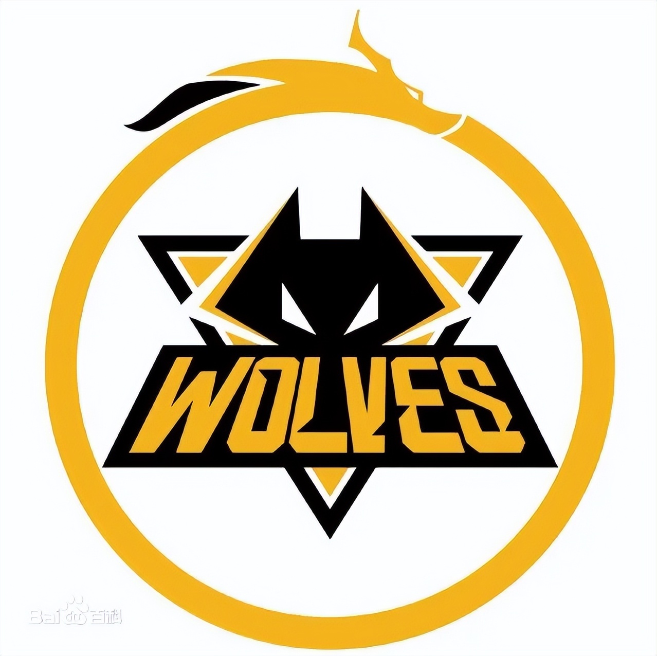 新华青训,长沙新华电竞青训队