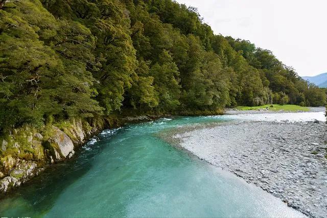 你不知道的国家冷知识新西兰篇,新西兰的20则冷知识大百科