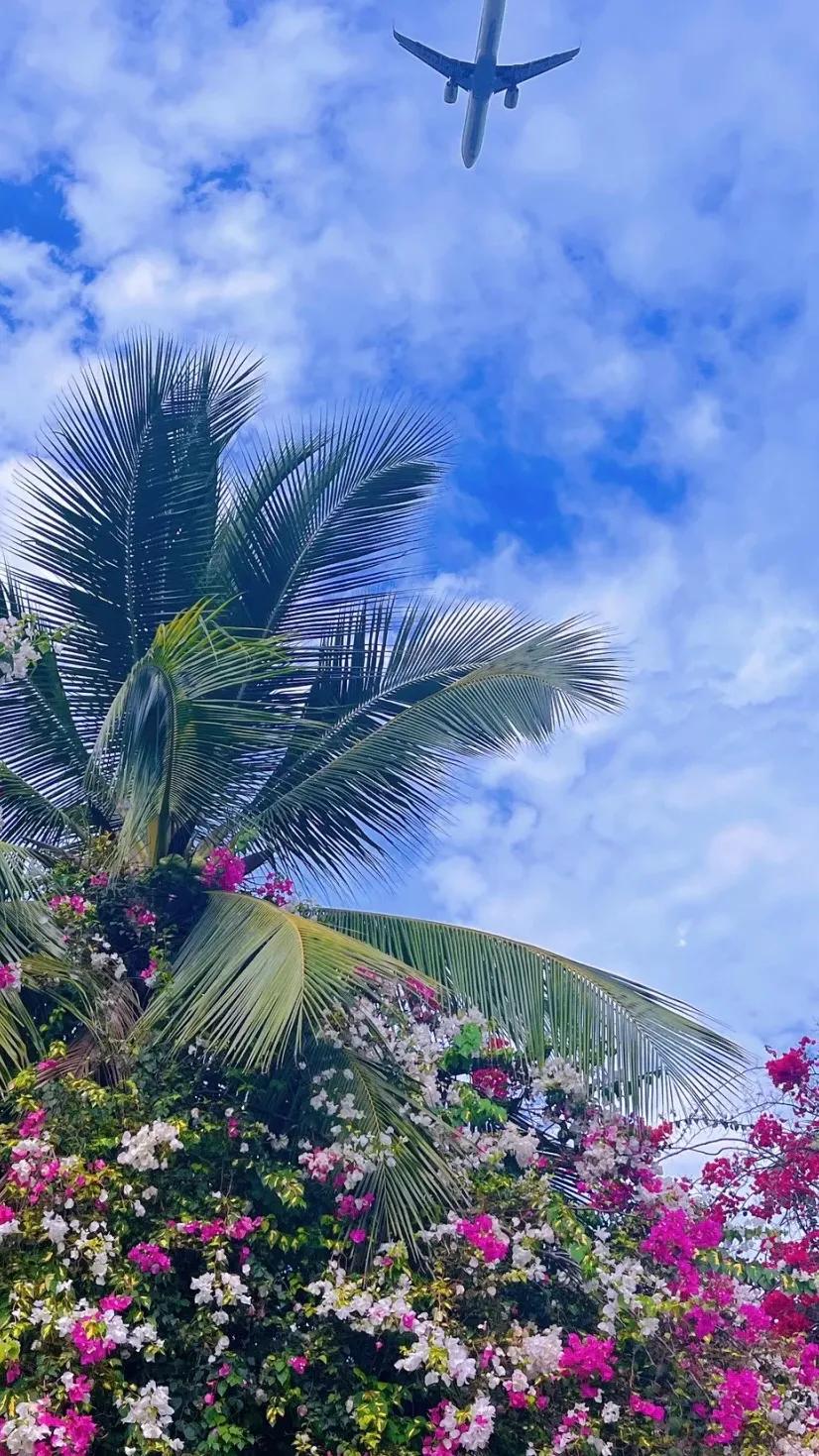 如何取图：搜索美人取图小程序,进入输入口令:952799拿高清原图啦