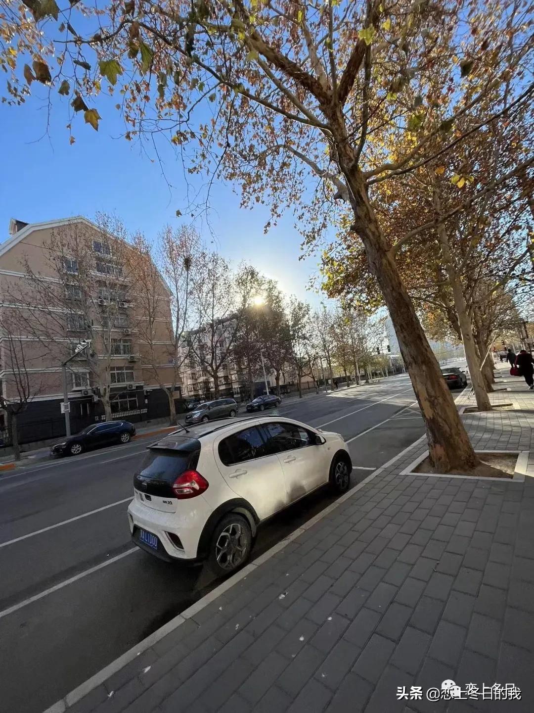 我的故事：12月的生活小记