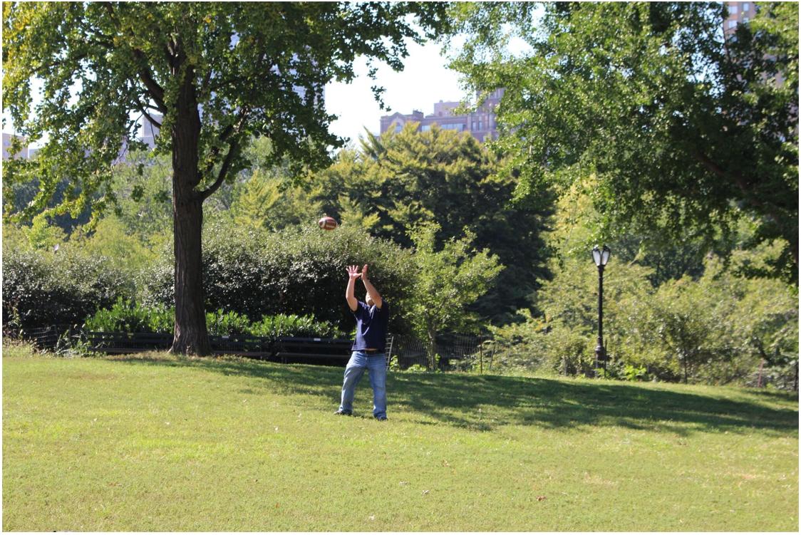 纽约公园中央公园,纽约中央公园的棒球场