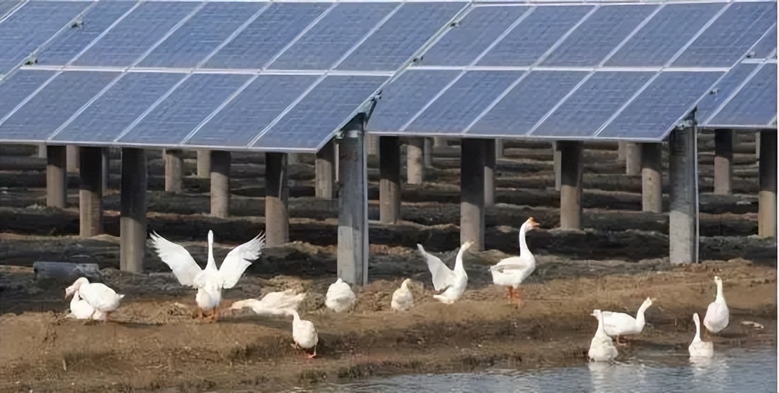 为了和中国产品竞争，不要脸的美国更不要脸了