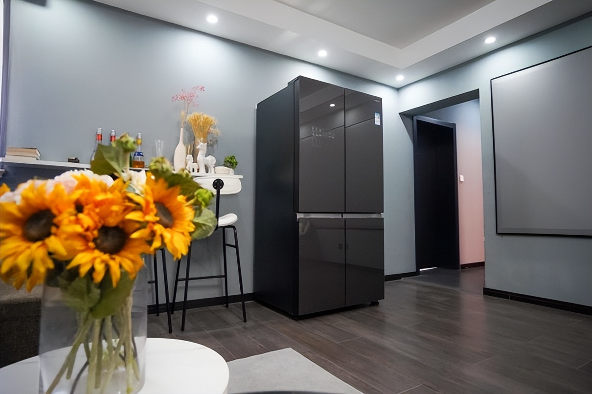 高端冰箱的好你用过就知道，日立冰箱R-FBF640SC选它没错