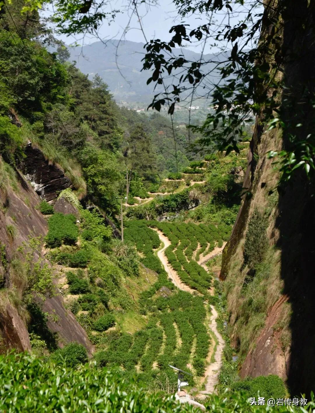 武夷山牛栏坑肉的独有的口感,武夷山的牛栏坑到底有多大