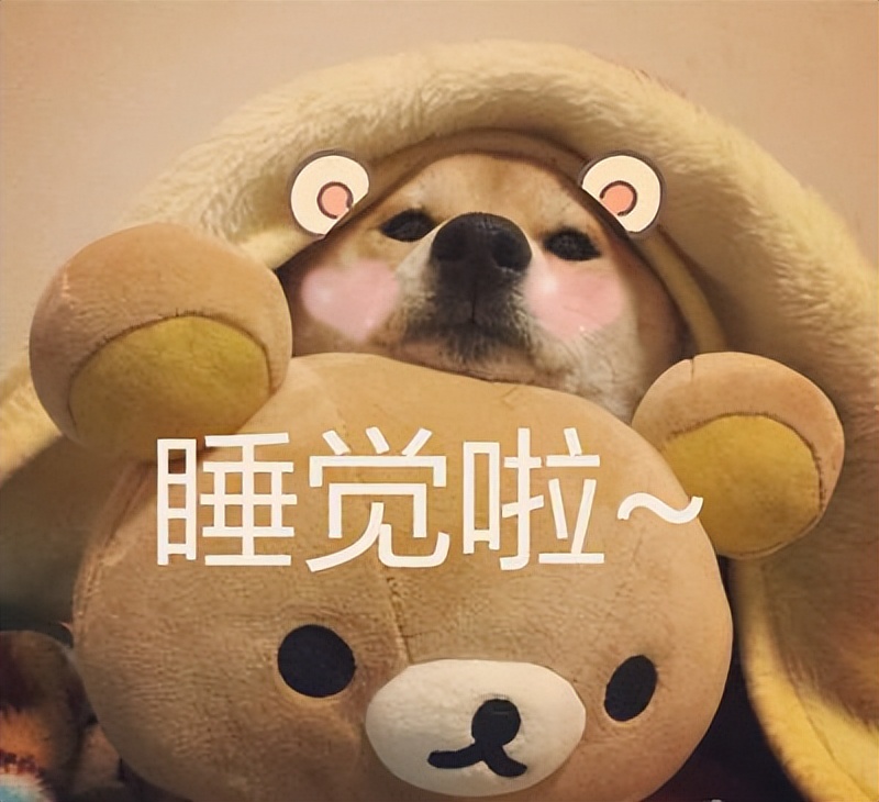 狗狗为什么爱睡床睡沙发,狗狗喜欢睡枕头上是什么原因