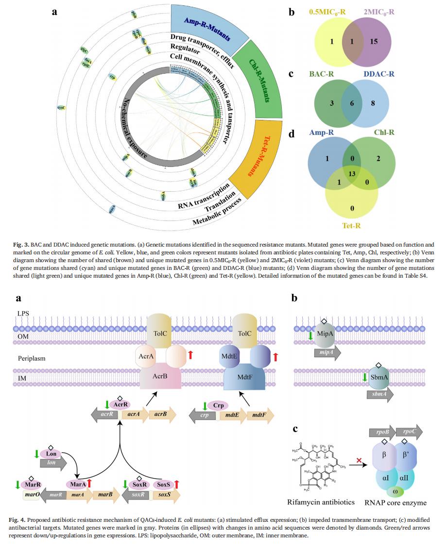 奥维森基因科技有限公司技术团队,奥维森基因测序