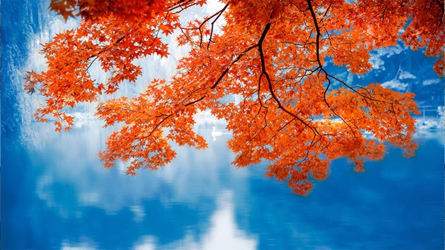 慢性前列腺炎山东寻找老中医,清远治疗慢性前列腺炎老中医