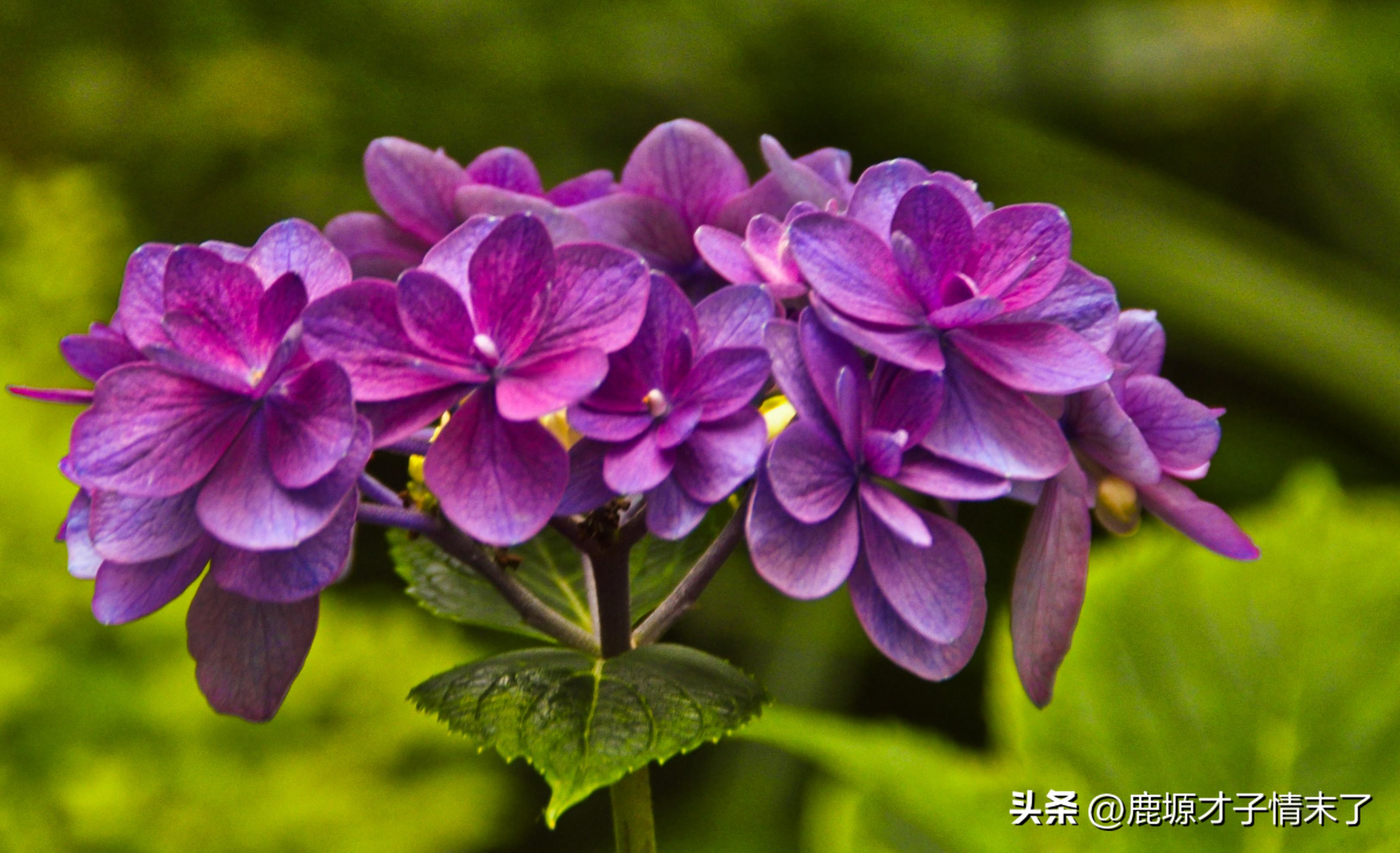 选择性记忆初中数学,选择性记忆全文