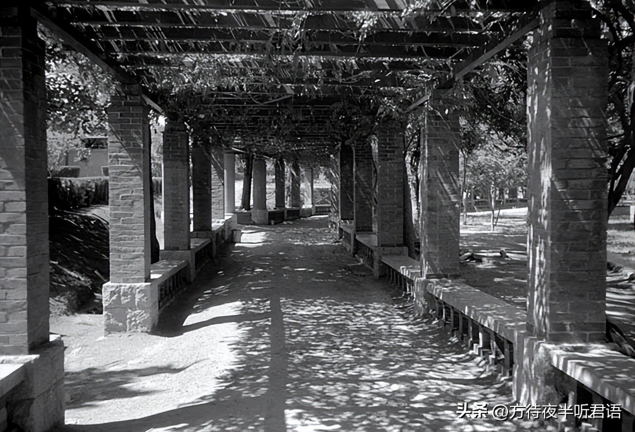 殊异之城：金石声穿过岁月的青岛留影