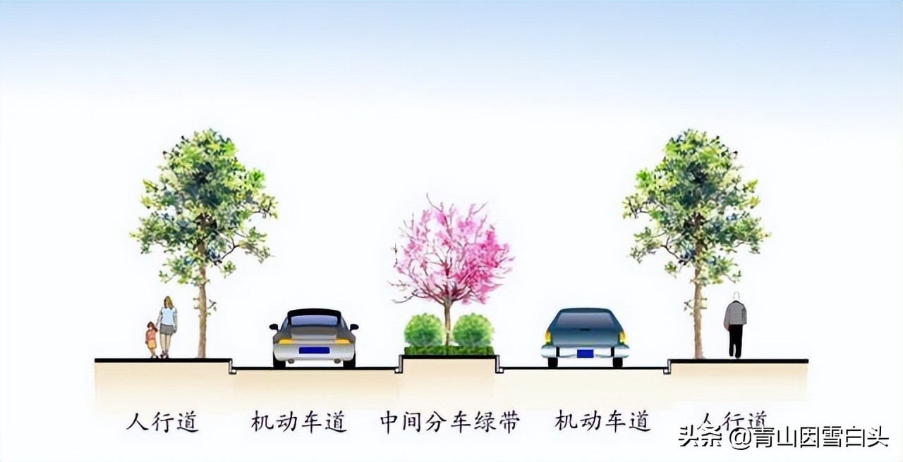 农村空闲地如何合理利用,农村未来发大财的方向