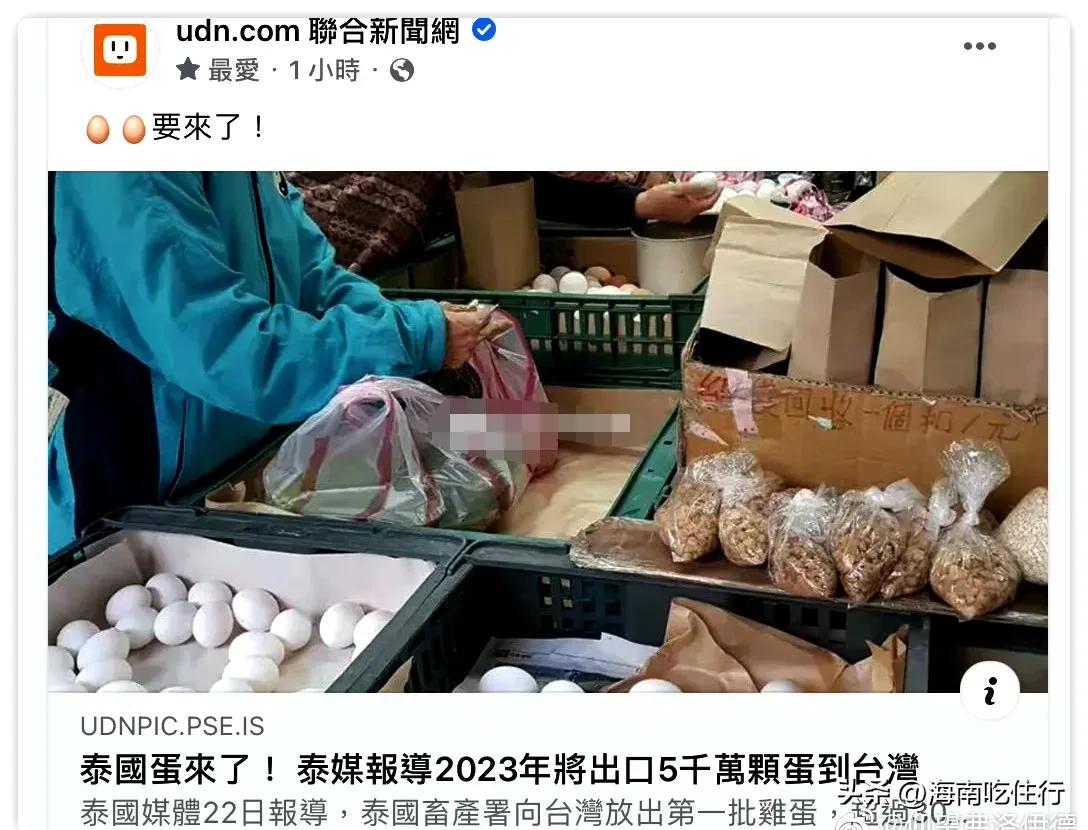 台湾民众排队买蛋,老人排队买鸡蛋