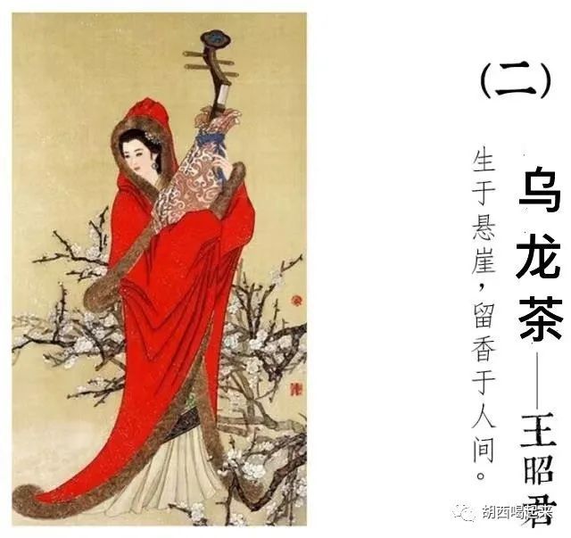 美人以茶喻，名茶鉴美人：四大美人与四大名茶的风雨传奇