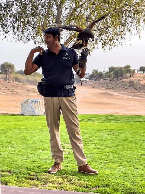 哈伊马角利兹卡尔顿,哈伊马角沙漠丽思卡尔顿酒店