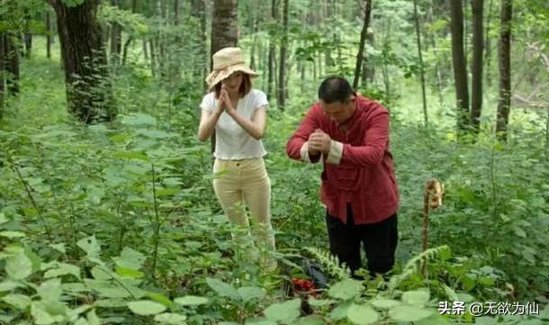 棒槌典故,棒槌是什么地方的方言
