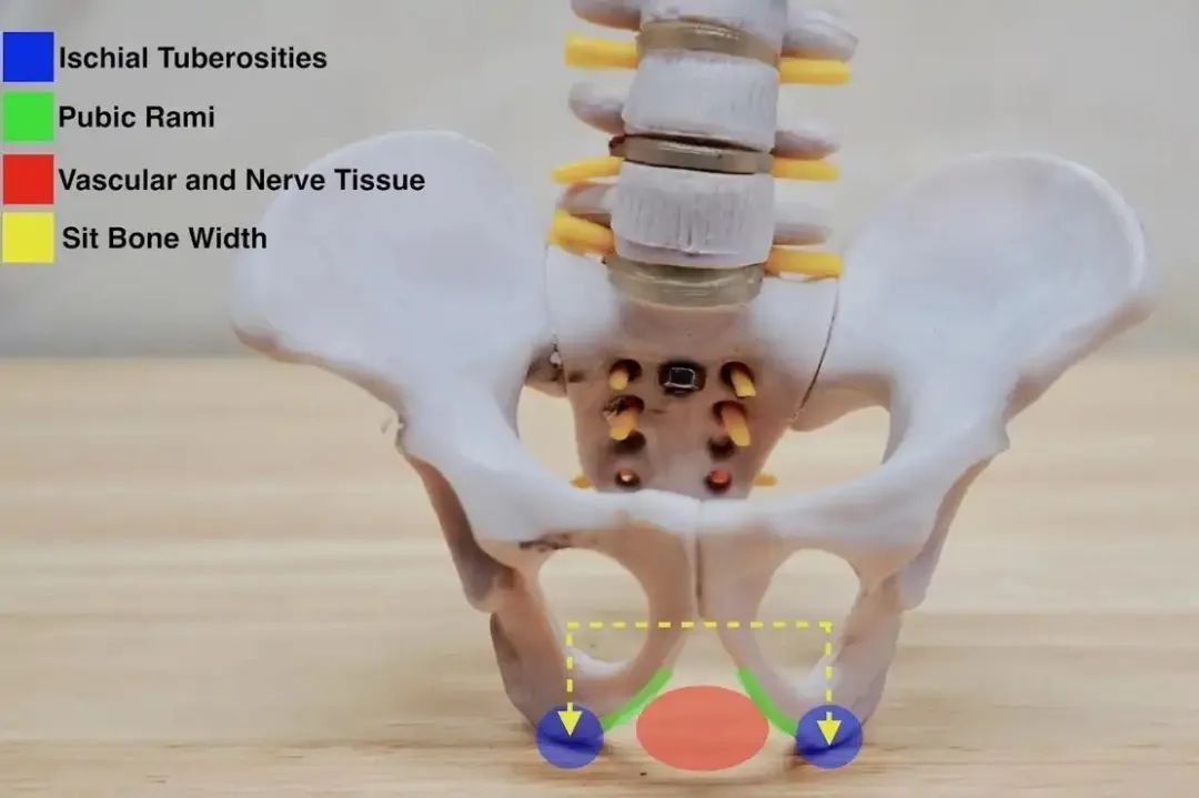 怎么选择自行车坐垫,自行车坐垫哪种比较好一点