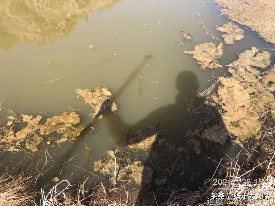 首阳山穿越大坪梁景色怎么样,大坪梁穿越到首阳山攻略