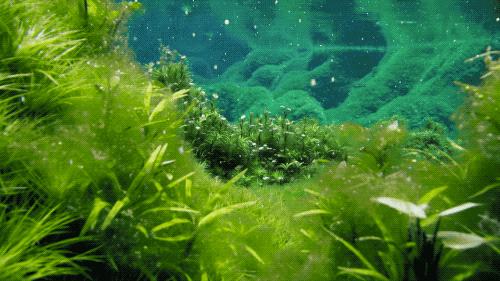 96岁还在奔波工作，这老爷子做出了今年9.8分神片