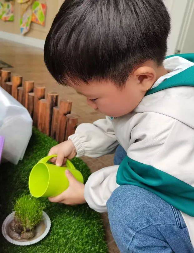 桐乡市庆安乐儿堡幼儿园,浙江省桐乡市庆安乐儿堡幼儿园