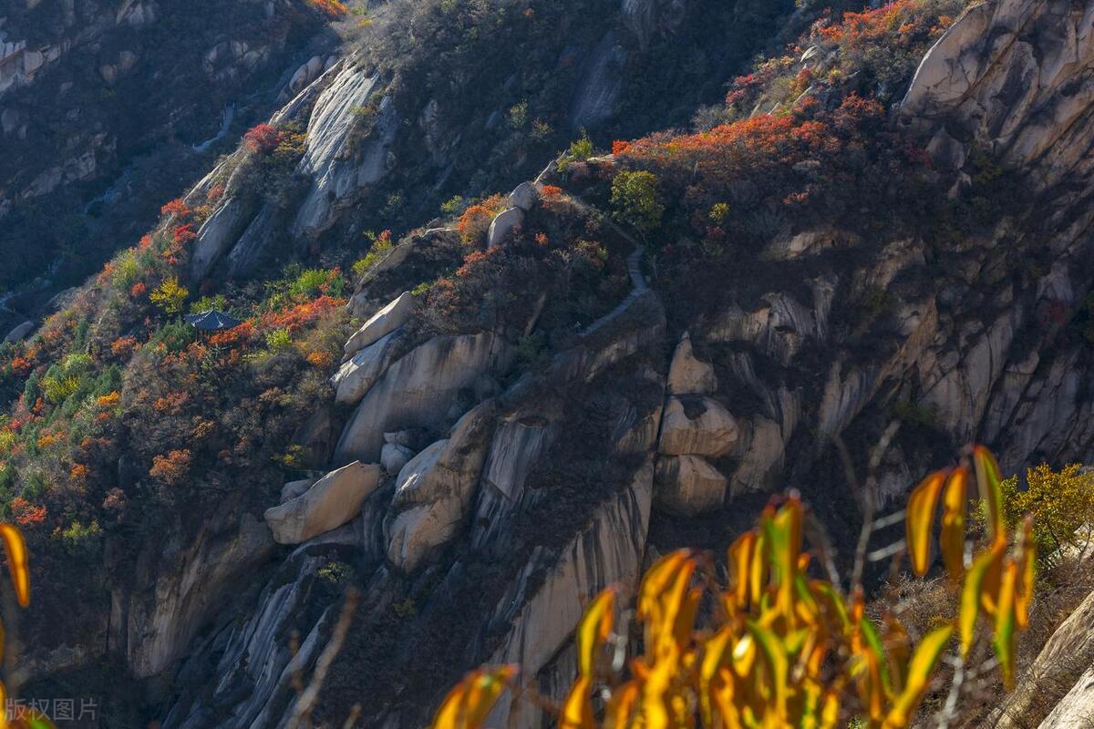 海淀区文旅局官网,文旅海淀第五期