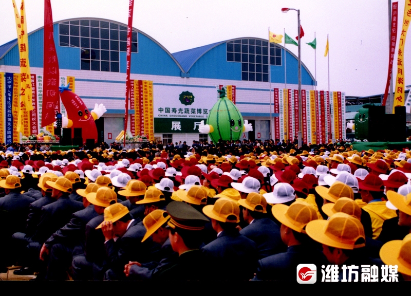 【潍观|菜博会24载“长红”，密码为你解锁】