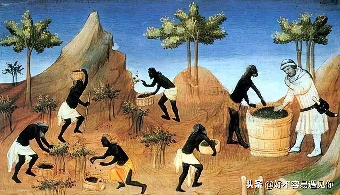 乌俄新战局,俄乌冲突下的荷兰