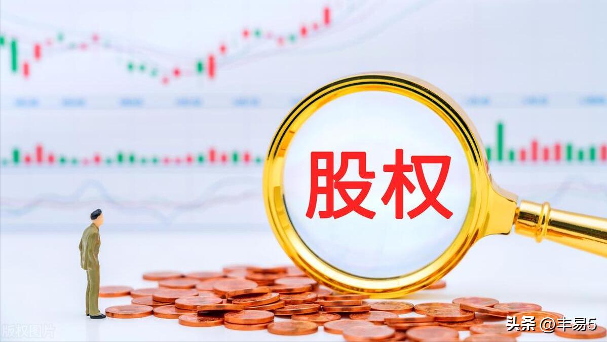 股权你知道吗,股权九大生命线怎么看