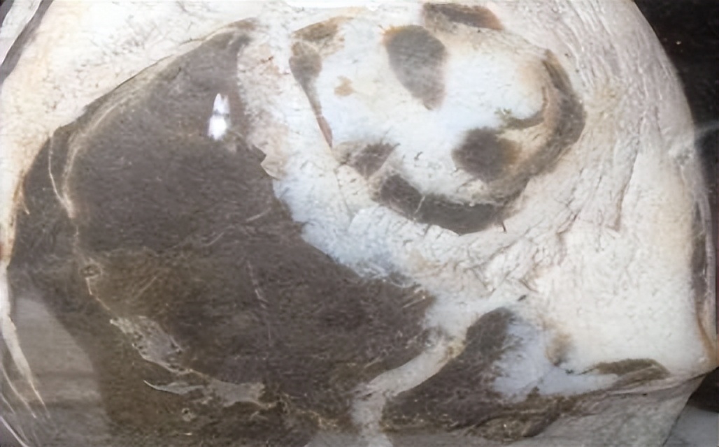 熊猫奇石价值上亿,青岛男子捡到熊猫奇石