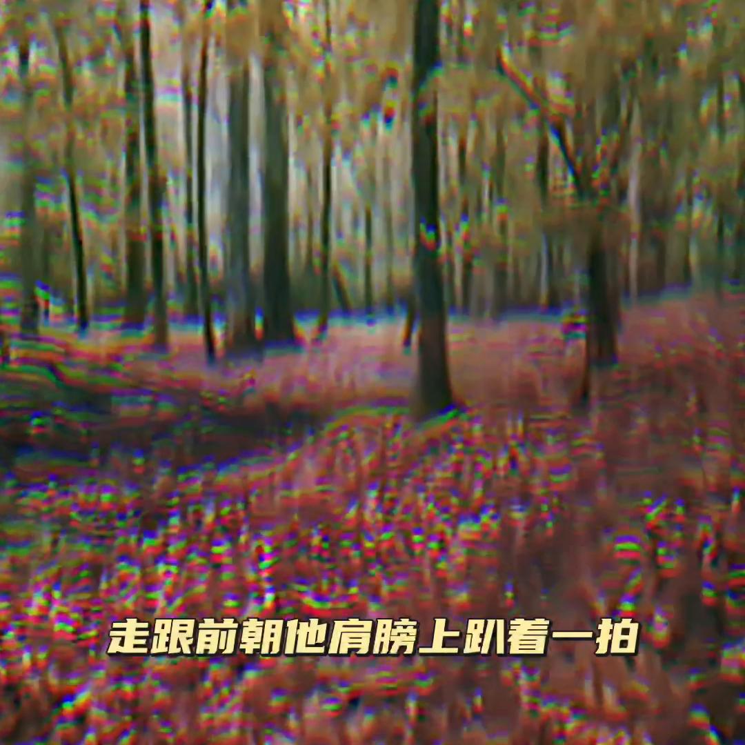 抖音热点关联不通过什么意思,抖音热点榜歌曲