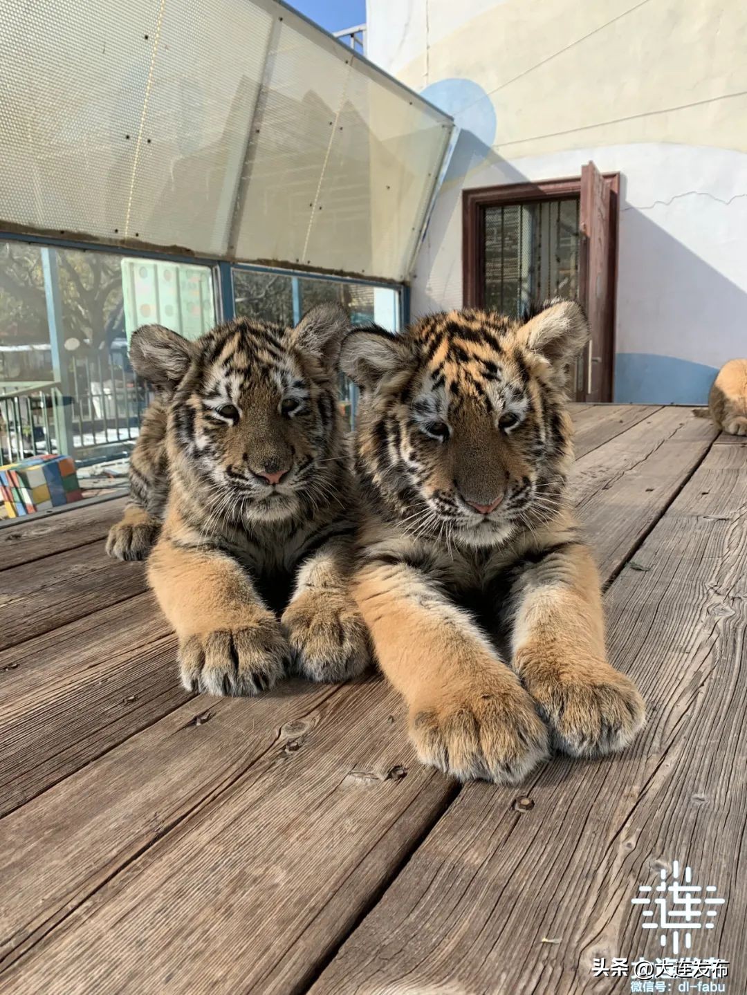 七天假期上哪玩儿,假期去哪儿玩这份攻略告诉你