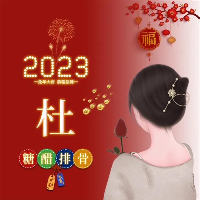 姓氏头像张女生专用喜庆点的,新年喜庆傅姓氏头像图片大全