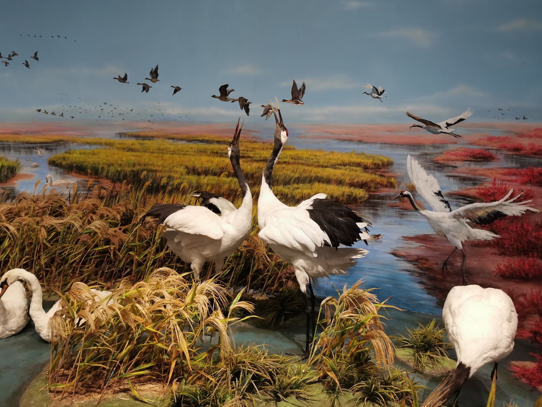 山东枣庄5a景区,山东5a景区有哪几个