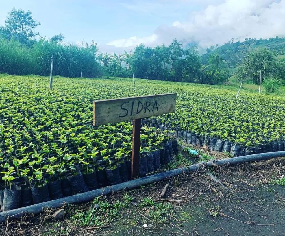 咖啡萃取率的分析,咖啡萃取率例题