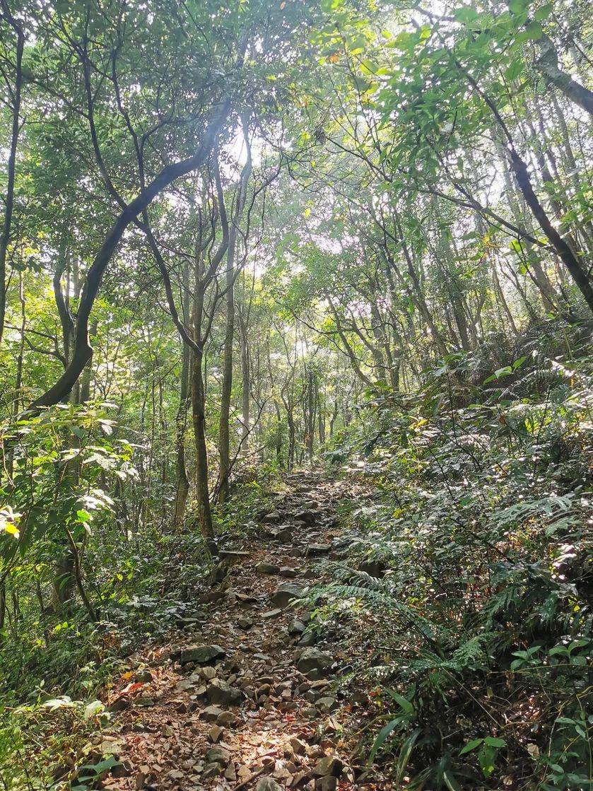 广州从化第一峰天堂顶,广州第一峰从化