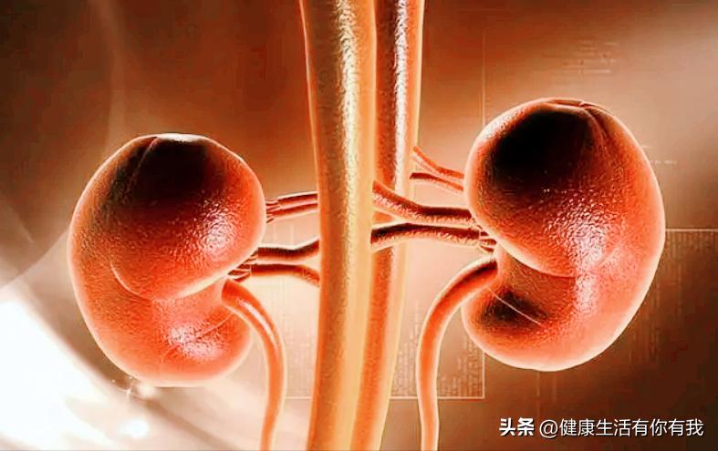 什么是血尿和尿潜血,什么是血尿是怎么回事