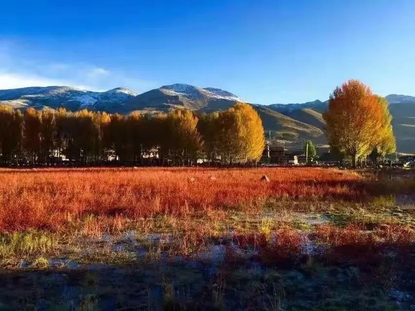 稻城亚丁啥时去最好,去稻城亚丁啥时候去最好