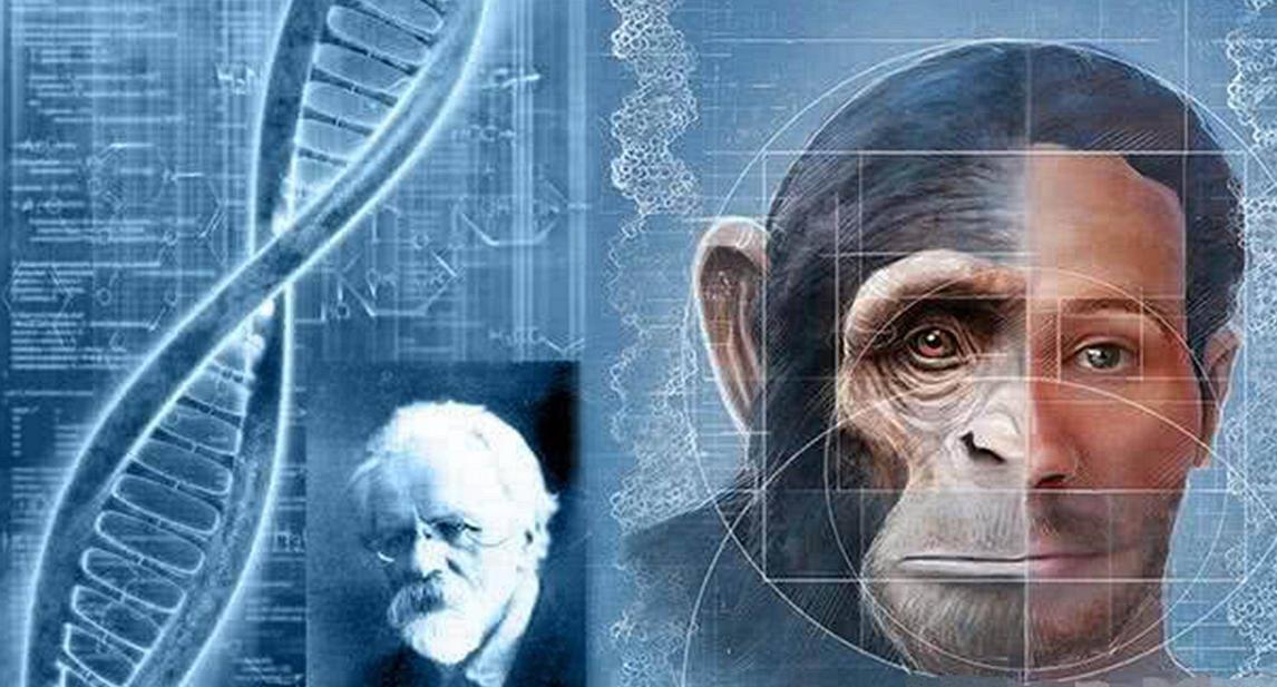 为什么日本人要杂交胚胎实验,日本人的杂交实验成功了吗