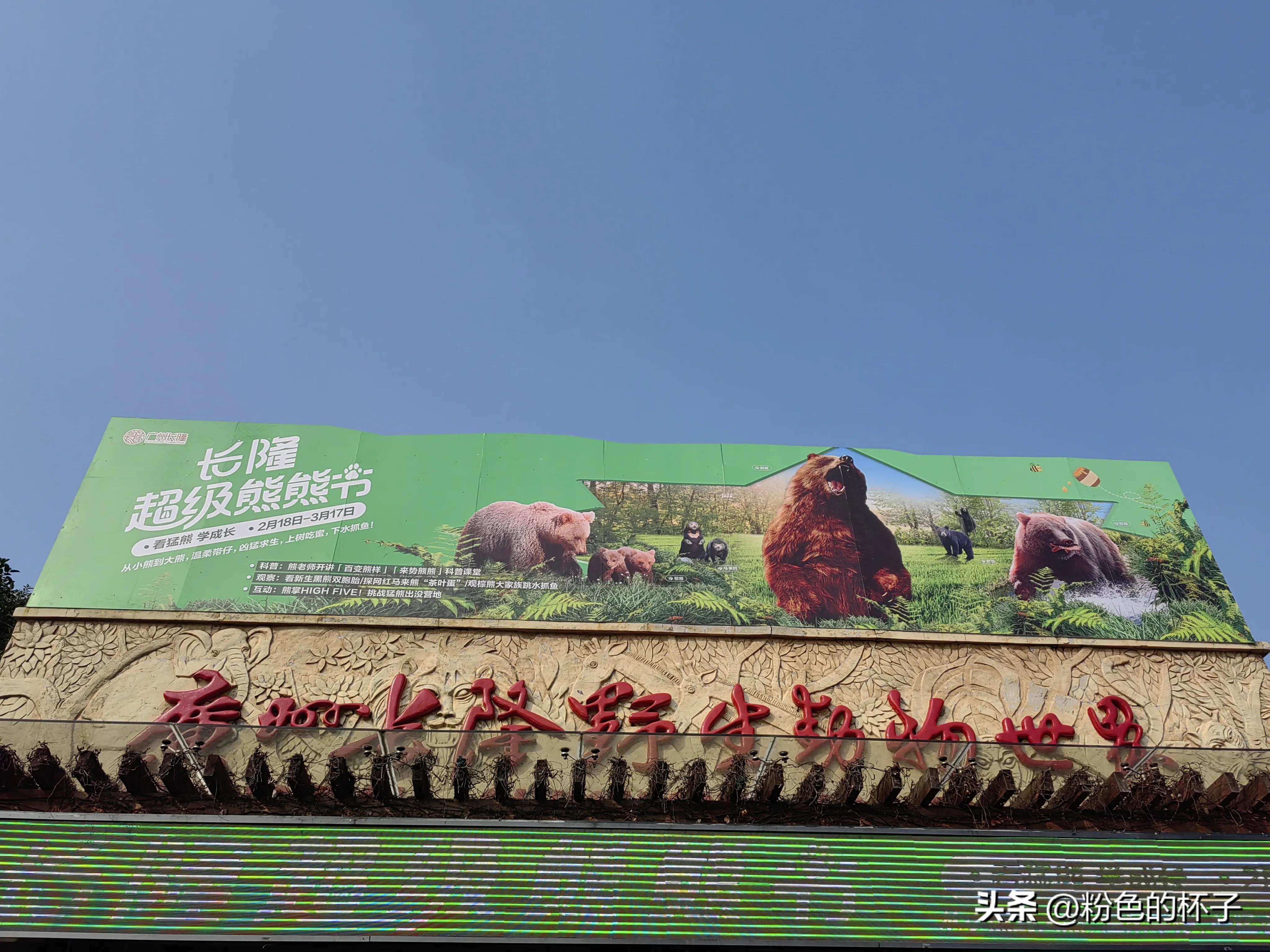 长隆野生动物园南门步行攻略,山东去广州长隆野生动物园攻略