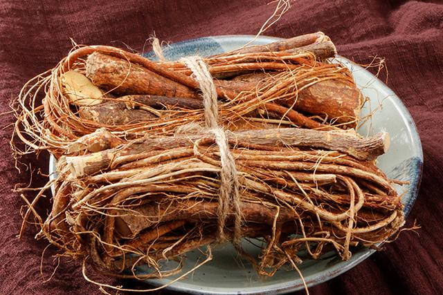 广东人参是什么,广东南方人参