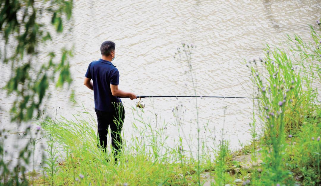 现在怎么钓乌鱼技巧图解,乌鱼最好钓的方法